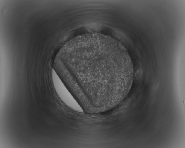 X0000083050772200703022110