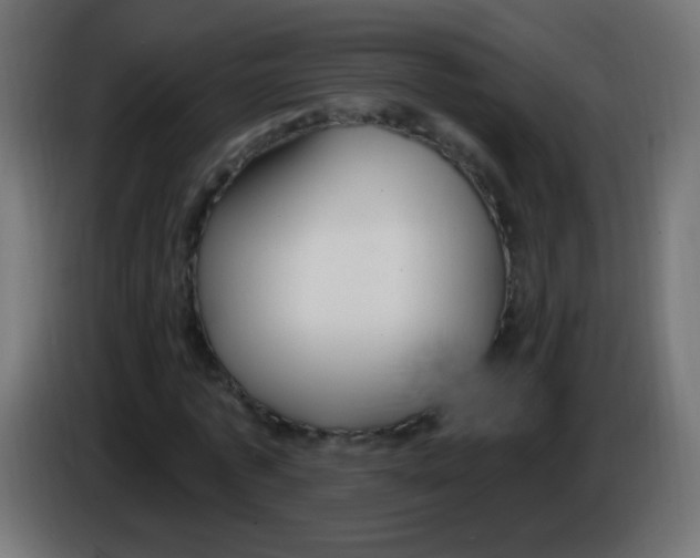 X0000083050773200703022110