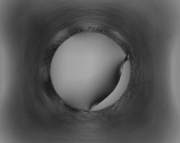 X0000083050774200703022110