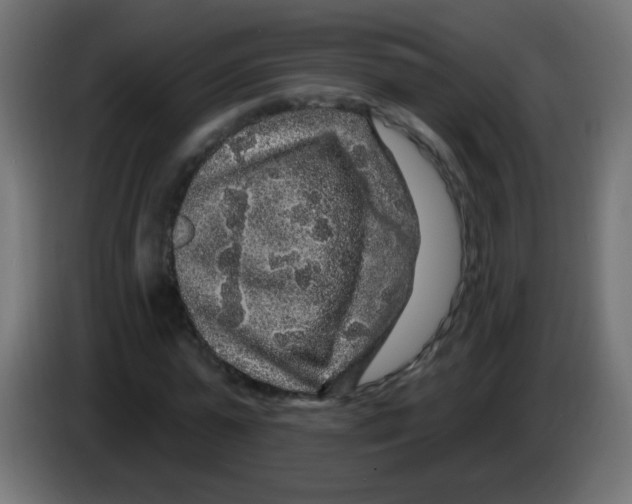 X0000083050775200703022110