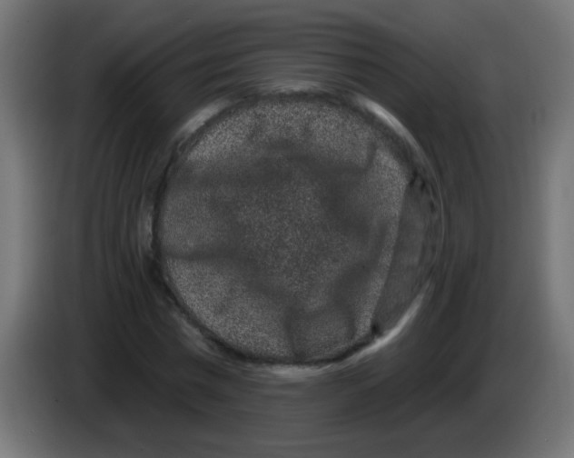 X0000083050777200703022110