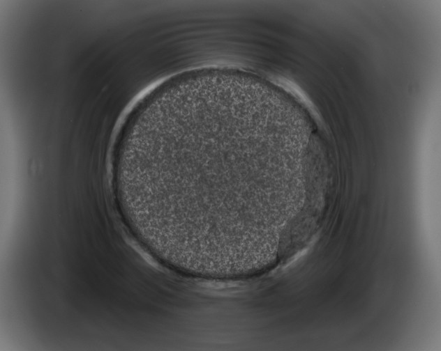 X0000083050780200703022110