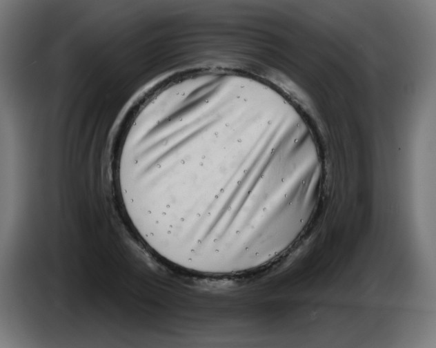 X0000083050784200703022110