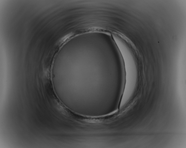 X0000083050785200703022110