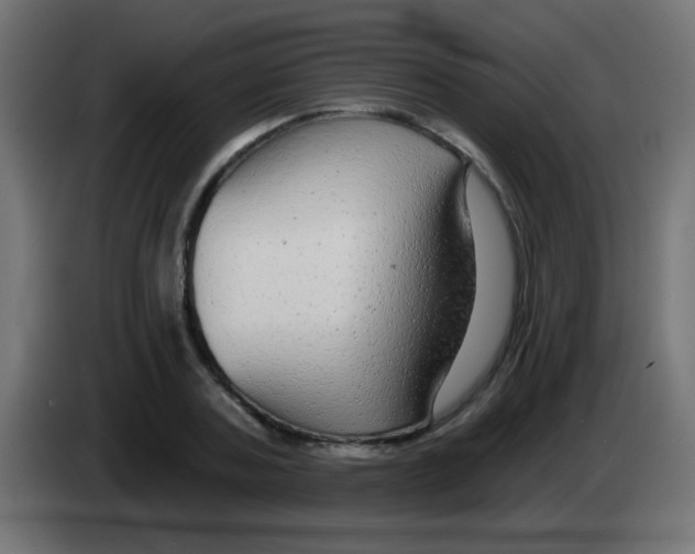 X0000083050787200703022110