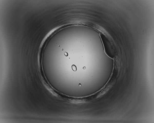 X0000083050788200703022110