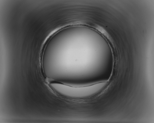 X0000083050789200703022110