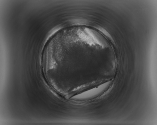 X0000083050790200703022110