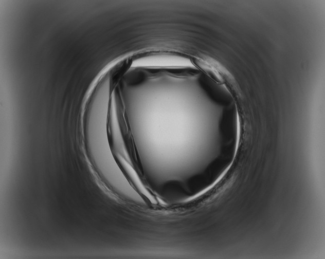 X0000083050792200703022110