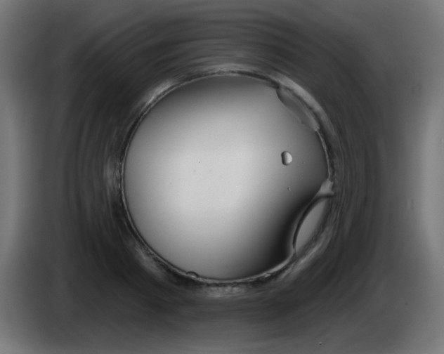 X0000083050793200703022110