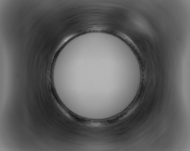 X0000083050794200703022110