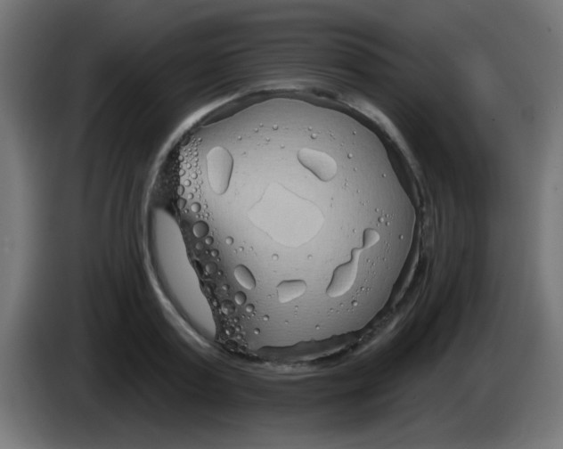 X0000083050795200703022110