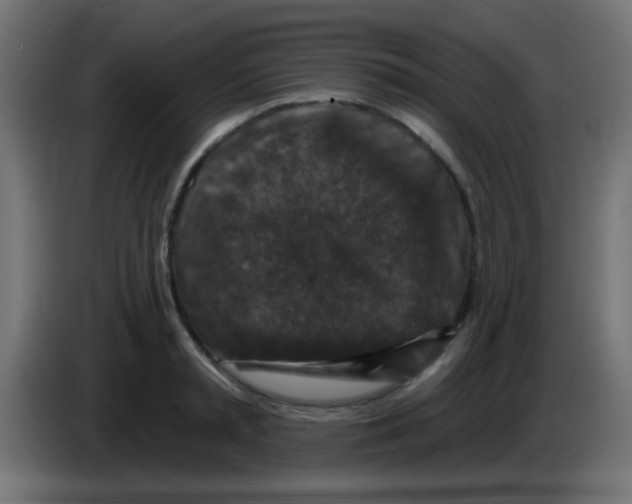 X0000083050797200703022110