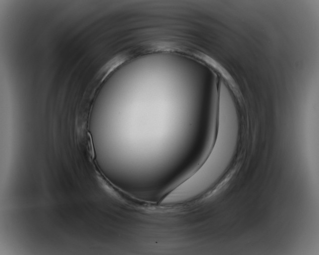 X0000083050801200703022109