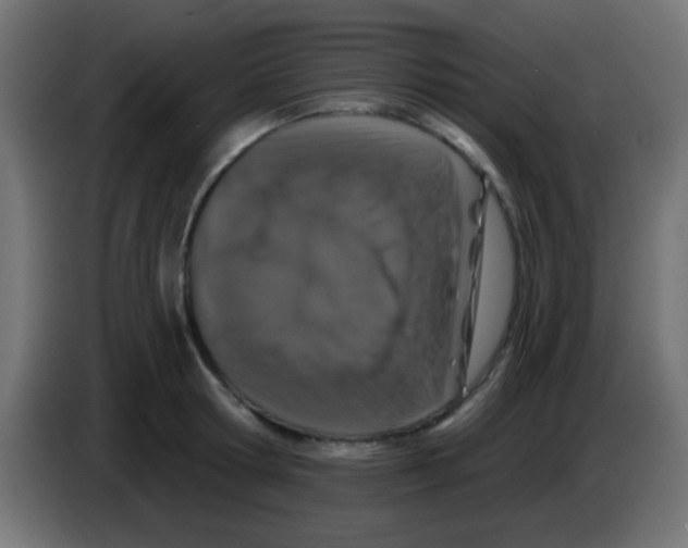 X0000083050802200703022109