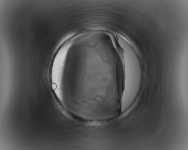 X0000083050806200703022109