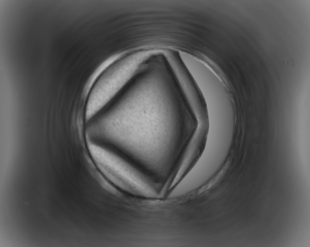 X0000083050812200703022109