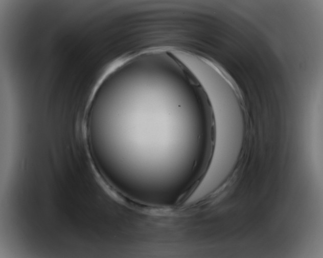 X0000083050813200703022109