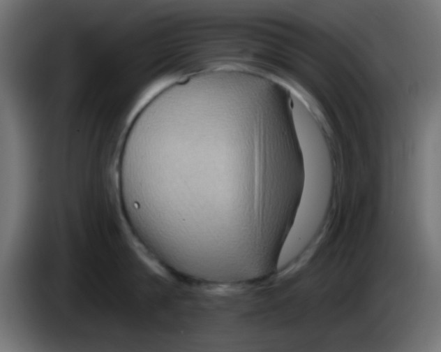 X0000083050814200703022109