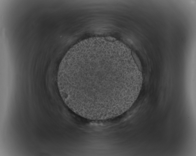 X0000083050817200703022108