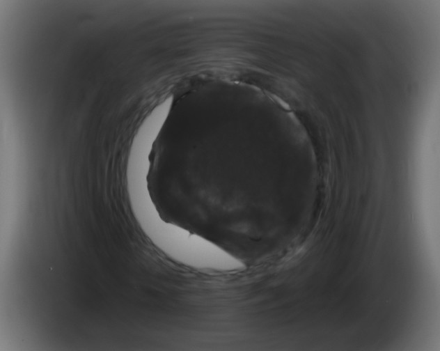 X0000083050818200703022108