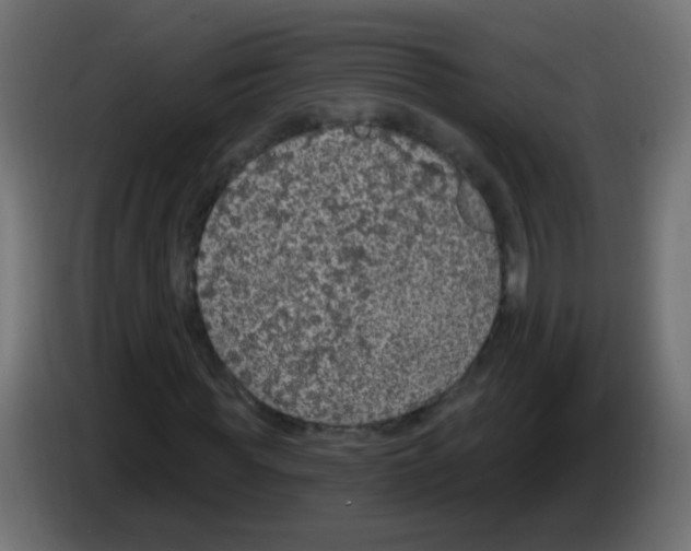 X0000083050819200703022108