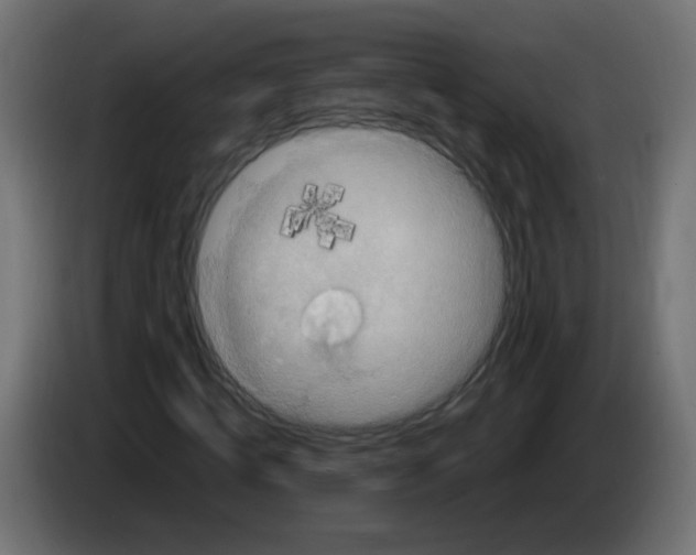 X0000083050820200703022109