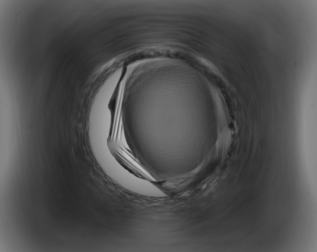 X0000083050822200703022109