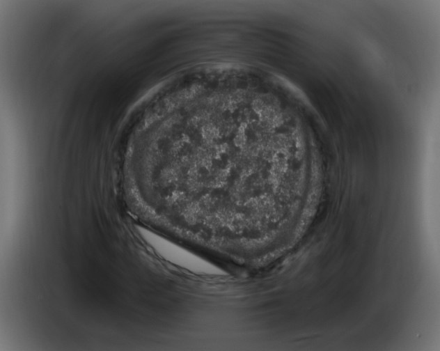 X0000083050823200703022109