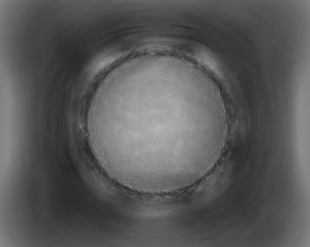 X0000083050824200703022109