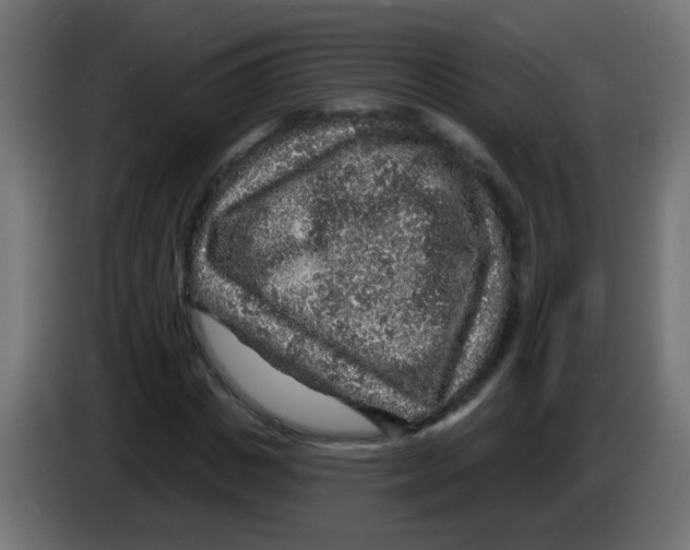 X0000083050825200703022109