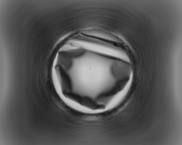 X0000083050826200703022109