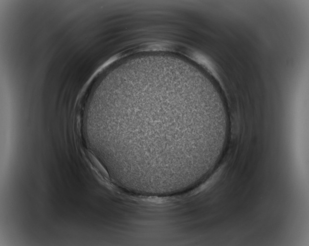 X0000083050827200703022109