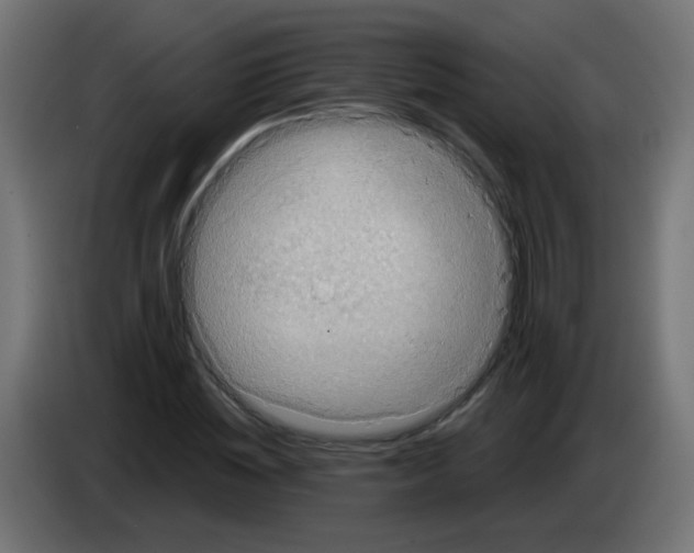 X0000083050828200703022109