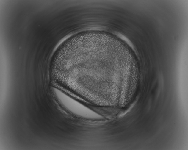 X0000083050829200703022109