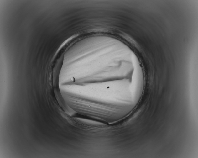 X0000083050830200703022109