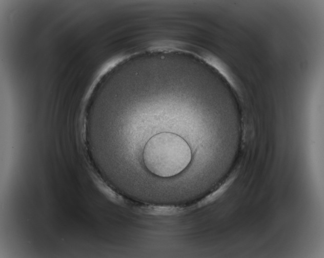 X0000083050832200703022109