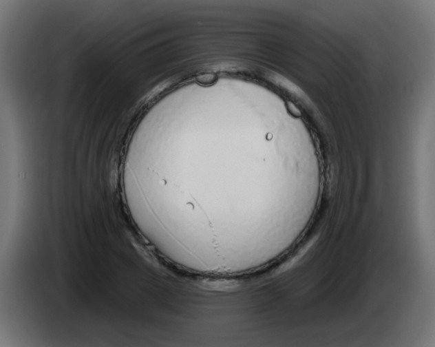 X0000083050833200703022109