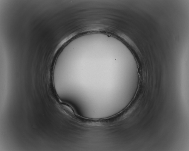 X0000083050834200703022109