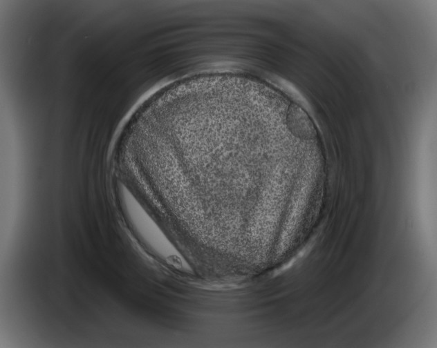 X0000083050835200703022109