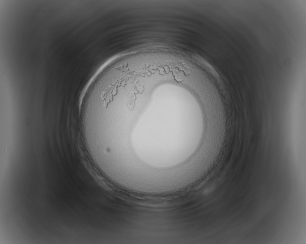 X0000083050836200703022109