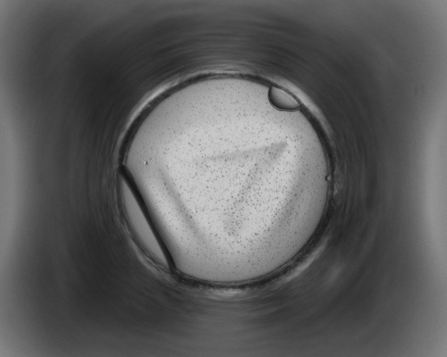 X0000083050837200703022109