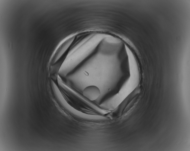 X0000083050838200703022109