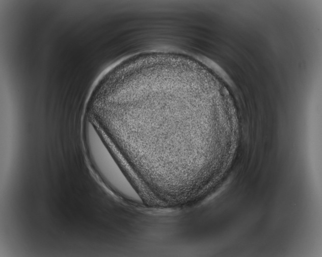 X0000083050839200703022109