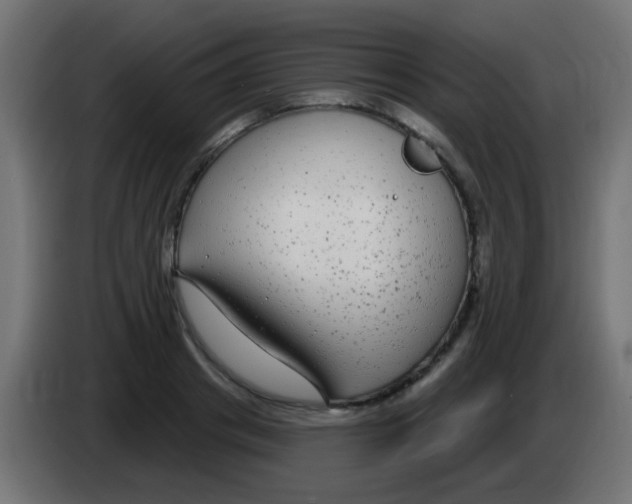 X0000083050841200703022109