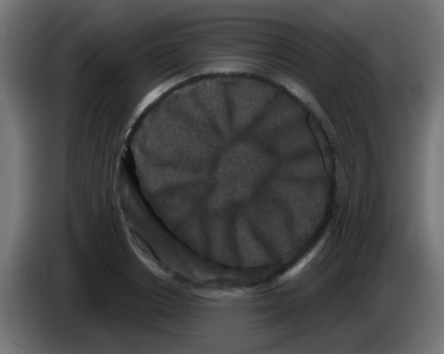 X0000083050842200703022109