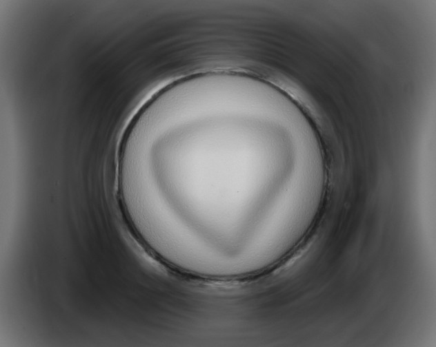 X0000083050844200703022109