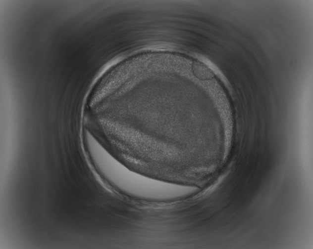 X0000083050845200703022109