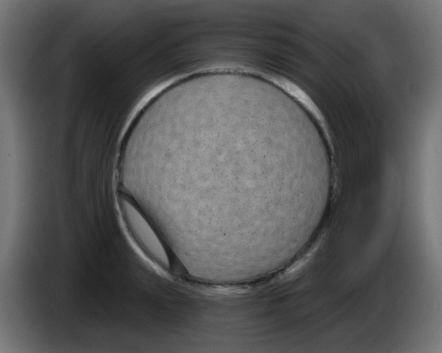 X0000083050847200703022109