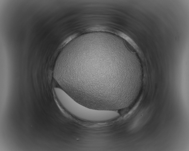 X0000083050849200703022109